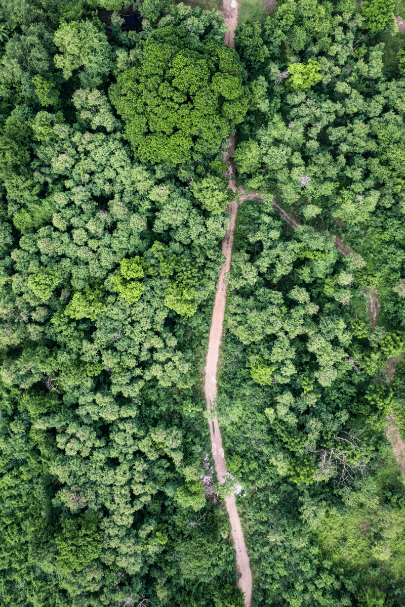 Sustainability Challenges in Middle East and Africa